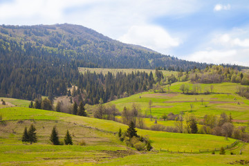 Panoramic view of mountain scenery in the Alps with fresh green meadows with grazing horses in color on a beautiful sunny day in spring, Berchtesgaden Land National Park, Bavaria, Germany
