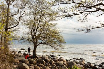 City Tuja, Latvia. Baltic sea with rocks and photographer. Travel photo.