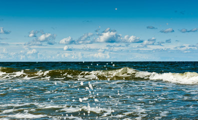 Waves. The Baltic Sea. Svetlogorsk. Russia