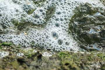 Bubbles on water in nature