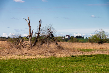 Narwiański Park Narodowy. Dolina Narwi. Polska Amazonia, Podlasie, Polska © podlaski49