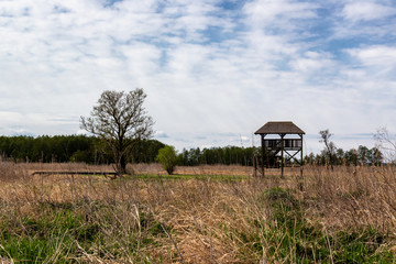 Narwiański Park Narodowy. Dolina Narwi. Polska Amazonia, Podlasie, Polska © podlaski49