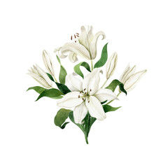Fototapeta na wymiar Watercolor white lilies single vertical bouquet isolated on white background. Hand drawn clipart for wedding invitations, birthday stationery, greeting cards, scrapbooking.