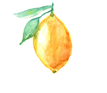 Watercolor lemon