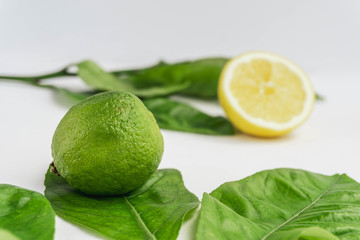 Lime close up view with some lemon tree leaves on the background and a lemon isolated on white. Fresh summer background.