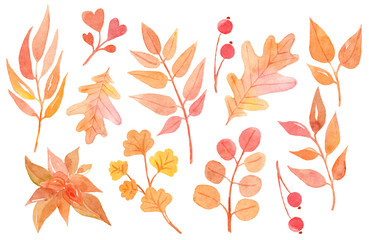 Watercolor flat  hand drawn autumn leaves set. Leaves, branches, berries, oak leaf, Autumn time.

