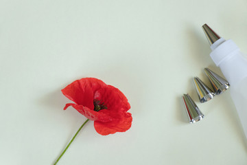 pastry bag and nozzles on the kitchen on the table, pastry set