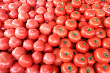 Tomatoes pattern. Fresh organic tomatoes.