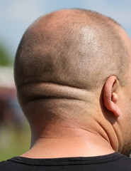 Naklejka premium A short haircut on a man’s head