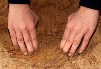Dig a hole with your hands. A child is playing in the sandbox. Hands in the sand. Spring games.