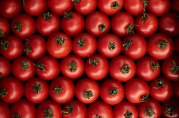 Tasty red tomato. Tray in the summer market. Organic vegetables can be used as background