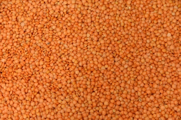 Red lentils 