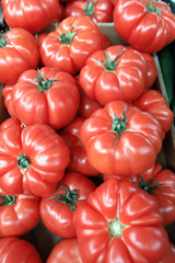 Tomatoes pattern. Fresh organic tomatoes.