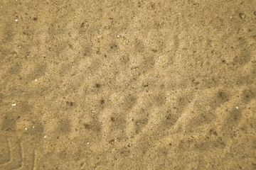 Sand surface on the street. Dust and dirty on the floor. Asphalt ground texture. Tiny rocks. 
