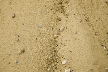 Sand surface on the street. Dust and dirty on the floor. Asphalt ground texture. Tiny rocks. 