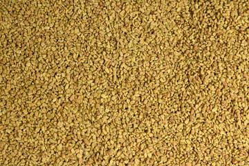 hilbe spice yemen seed