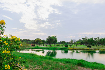 Fototapeta na wymiar golf course with lush grass and the reflection of the trees in the pool makes it a beautiful view to play sports