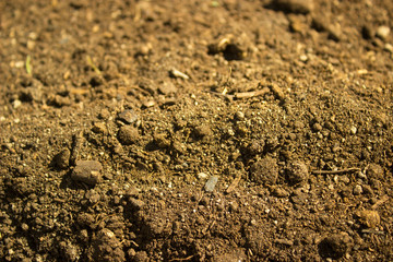 Peat, turf closeup. Rich, healthy compost dirt ready for garden. Soil peat moss dirty background, soil texture closeup, ground surface.