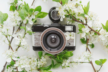 camera in white spring blossoms of a blossoming tree 