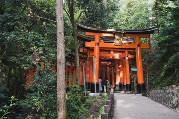 Fototapeta na wymiar Toriis en el santuario Fushimi Inari en Kioto