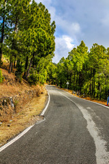 road in the forest of the Kumaon Himalaya, India