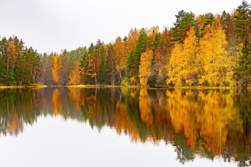 Finnish lake with mirror image in fall season