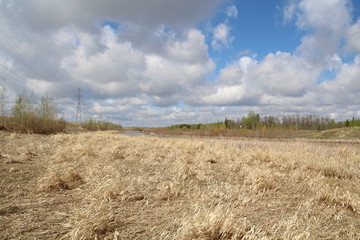 Spring Sky, Pylypow Wetlands, Edmonton, Alberta