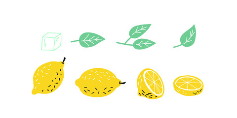 Hand drawn lemon, a slice of lemon. Illustration of a manual graphic. Set. vector illustration. 