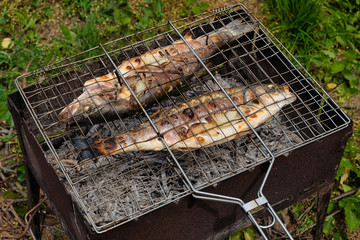The process of making sea bass on the grill. Grilled fish concept. Close up.