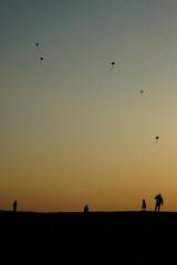 Fototapeta na wymiar flying kites on sunset