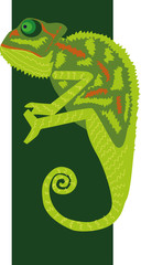 vector illustration of a chameleon on a dark green background