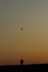 Fototapeta na wymiar silhouette of kites on sunset