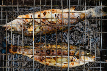 Top view closeup sea bass fish on a grill. Grilled seabass.