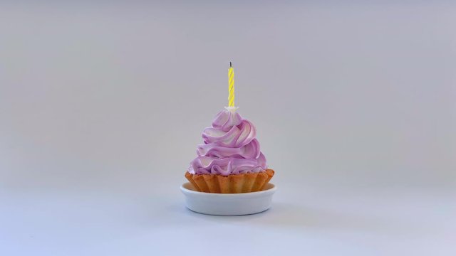 Delicious Birthday Cake With Burning And Putting Out Candle 