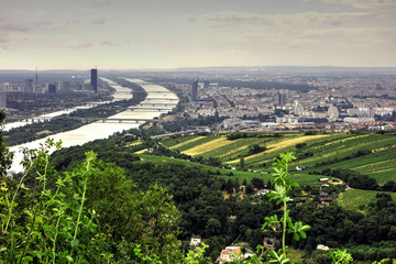 Danube river green valley near Vienna Austria