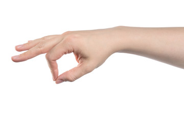 male hand reaching for something, isolated with clipping path on white background