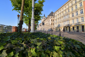 Wrocław. Uniwersytet
