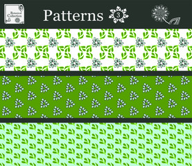 Botanic Patterns. Set with flowers and leaves.