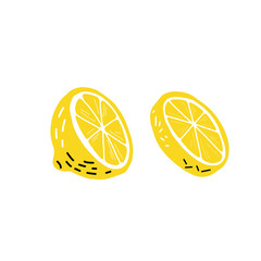 Hand drawn lemon, a slice of lemon. Illustration of a manual graphic. Set. vector illustration.