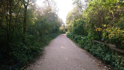 Fototapeta na wymiar Ground path in the park