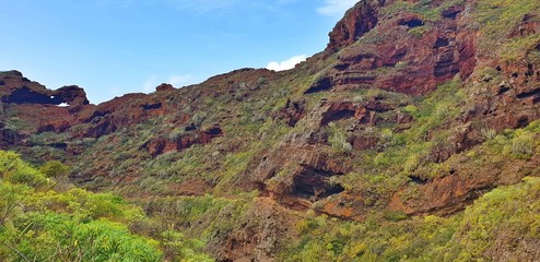 Exotic landscape in the mountains
