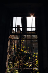 słońce, widziane za metalowych krat opuszczonej szlacheckiej posiadłości, wschodniej Polski    - obrazy, fototapety, plakaty