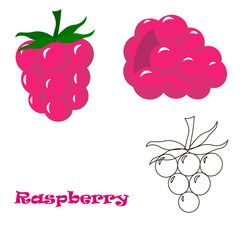 Set of raspberry on white backdrop. Organic fruit. Food icon set. 