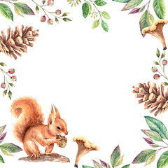 orange squirrel with a nut in a frame from plants, mushrooms and cones. watercolor illustration © Lana