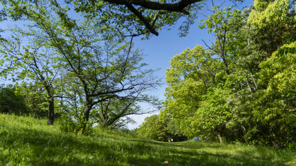 大高緑地 自然
