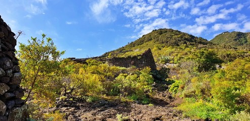 Ruins in exotic landscape