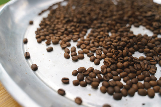 Hand picking bad roasted coffee