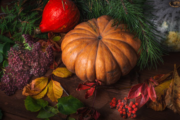 Obraz na płótnie Canvas Still life with pumpkins and autumn leaves