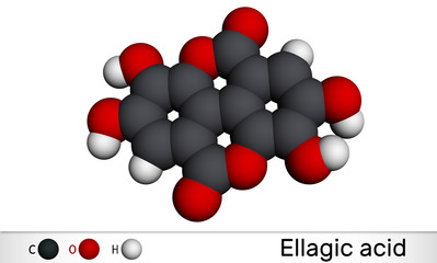 Ellagic acid, C14H6O8 molecule. It is natural phenol antioxidant, dietary supplement. Molecular model