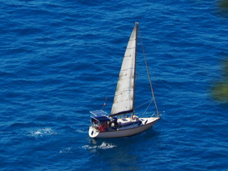 Naklejka premium OLYMPUS DIGITAL CAMERA